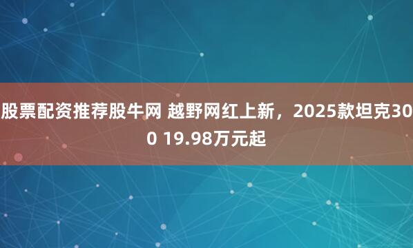 股票配资推荐股牛网 越野网红上新，2025款坦克300 19.98万元起