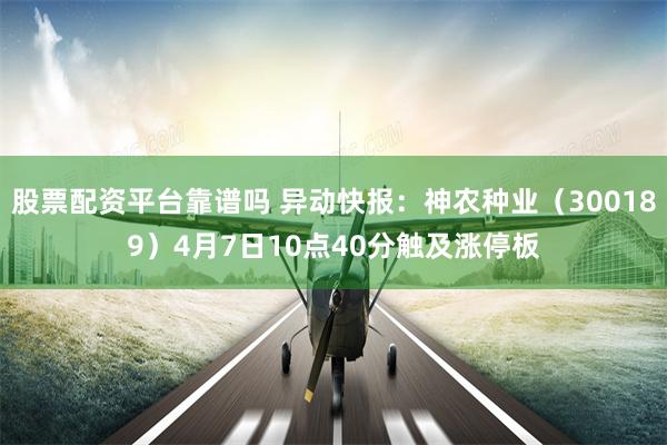 股票配资平台靠谱吗 异动快报：神农种业（300189）4月7日10点40分触及涨停板