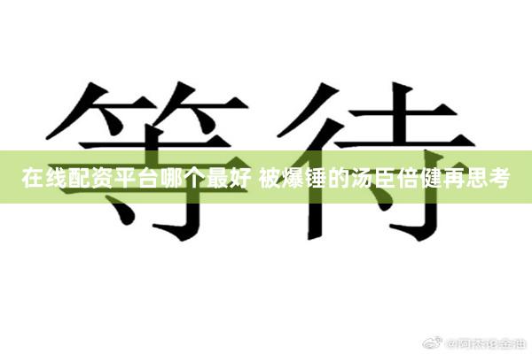 在线配资平台哪个最好 被爆锤的汤臣倍健再思考
