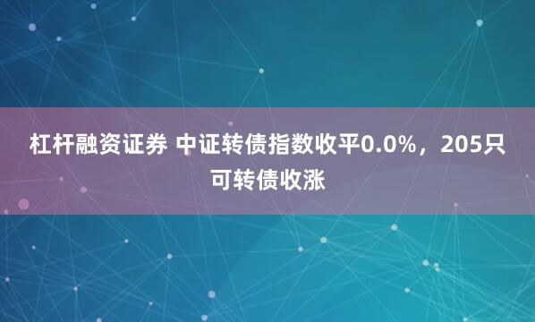 杠杆融资证券 中证转债指数收平0.0%，205只可转债收涨