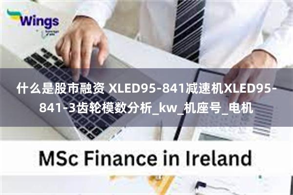 什么是股市融资 XLED95-841减速机XLED95-841-3齿轮模数分析_kw_机座号_电机
