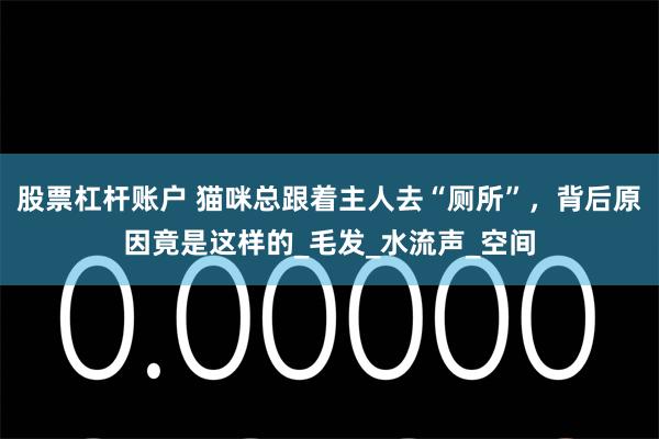 股票杠杆账户 猫咪总跟着主人去“厕所”，背后原因竟是这样的_毛发_水流声_空间