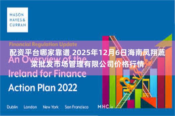 配资平台哪家靠谱 2025年12月6日海南凤翔蔬菜批发市场管理有限公司价格行情