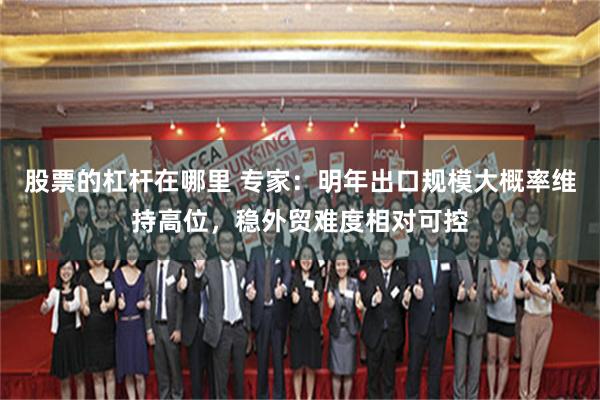 股票的杠杆在哪里 专家：明年出口规模大概率维持高位，稳外贸难度相对可控