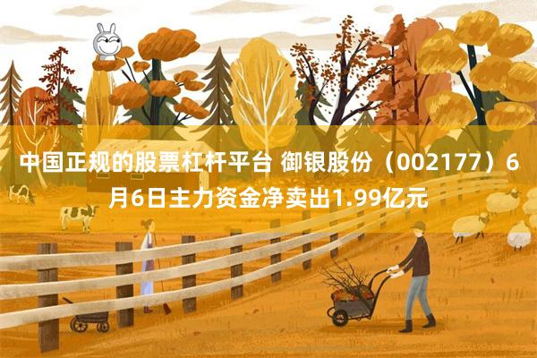 中国正规的股票杠杆平台 御银股份（002177）6月6日主力资金净卖出1.99亿元