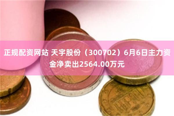 正规配资网站 天宇股份（300702）6月6日主力资金净卖出2564.00万元