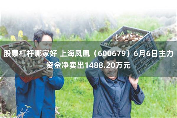 股票杠杆哪家好 上海凤凰（600679）6月6日主力资金净卖出1488.20万元