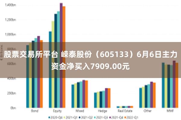股票交易所平台 嵘泰股份（605133）6月6日主力资金净买入7909.00元