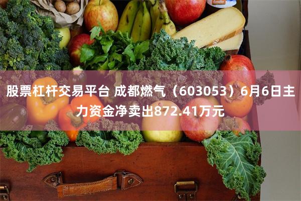 股票杠杆交易平台 成都燃气（603053）6月6日主力资金净卖出872.41万元