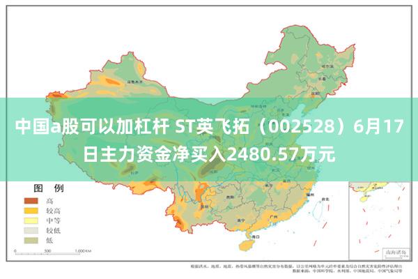 中国a股可以加杠杆 ST英飞拓（002528）6月17日主力资金净买入2480.57万元