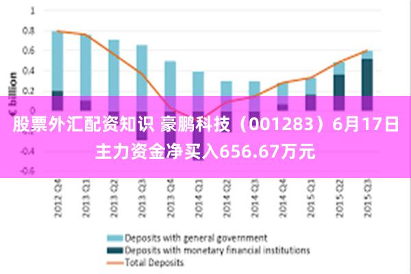 股票外汇配资知识 豪鹏科技（001283）6月17日主力资金净买入656.67万元