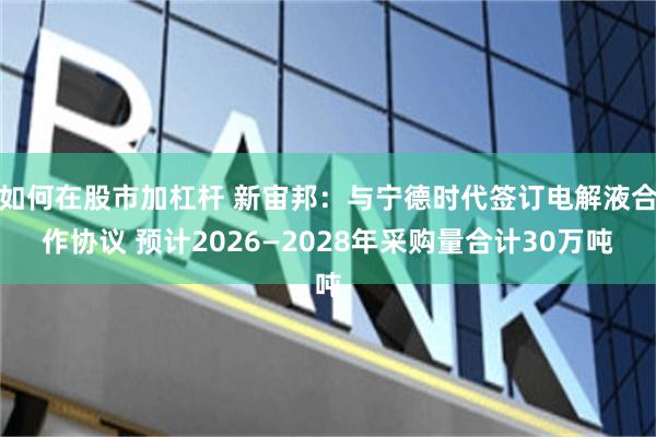 如何在股市加杠杆 新宙邦：与宁德时代签订电解液合作协议 预计2026—2028年采购量合计30万吨