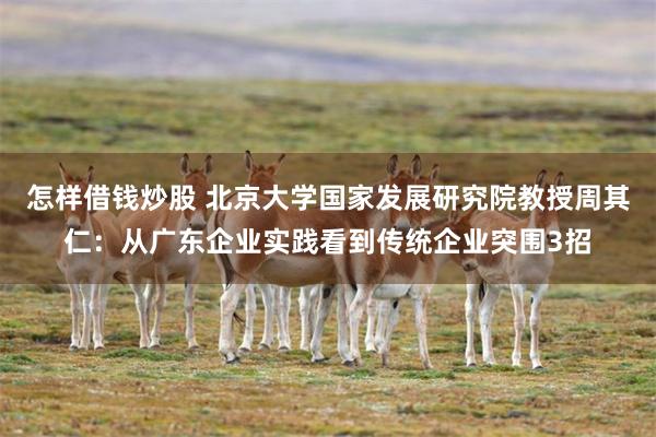 怎样借钱炒股 北京大学国家发展研究院教授周其仁：从广东企业实践看到传统企业突围3招