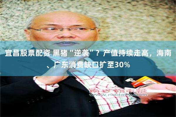 宜昌股票配资 黑猪“逆袭”？产值持续走高，海南、广东消费缺口扩至30%