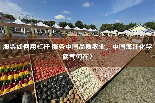 股票如何用杠杆 服务中国品质农业，中国海油化学底气何在？