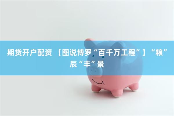期货开户配资 【图说博罗“百千万工程”】“粮”辰“丰”景