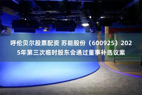呼伦贝尔股票配资 苏能股份（600925）2025年第三次临时股东会通过董事补选议案
