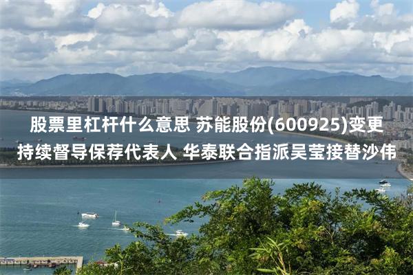 股票里杠杆什么意思 苏能股份(600925)变更持续督导保荐代表人 华泰联合指派吴莹接替沙伟