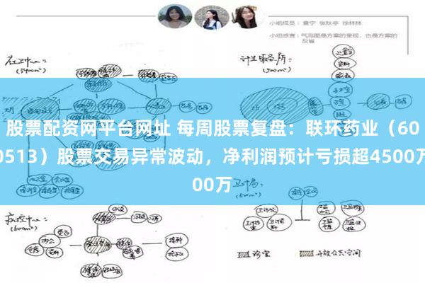 股票配资网平台网址 每周股票复盘：联环药业（600513）股票交易异常波动，净利润预计亏损超4500万