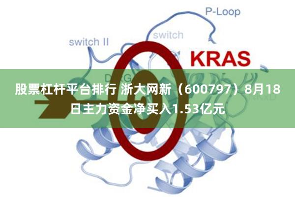 股票杠杆平台排行 浙大网新（600797）8月18日主力资金净买入1.53亿元