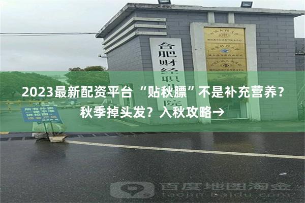 2023最新配资平台 “贴秋膘”不是补充营养？秋季掉头发？入秋攻略→