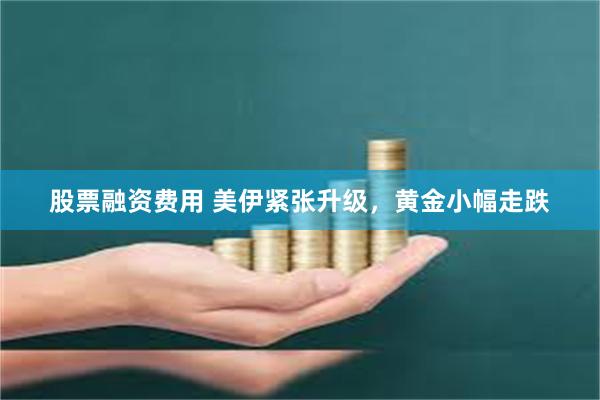股票融资费用 美伊紧张升级,黄金小幅走跌
