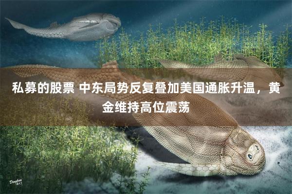 私募的股票 中东局势反复叠加美国通胀升温，黄金维持高位震荡