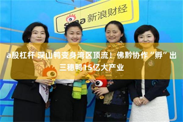 a股杠杆 深山鸭变身湾区顶流！佛黔协作“孵”出三穗鸭15亿大产业