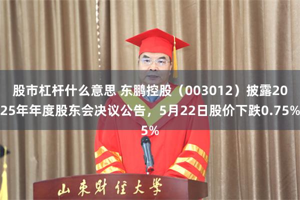 股市杠杆什么意思 东鹏控股（003012）披露2025年年度股东会决议公告，5月22日股价下跌0.75%
