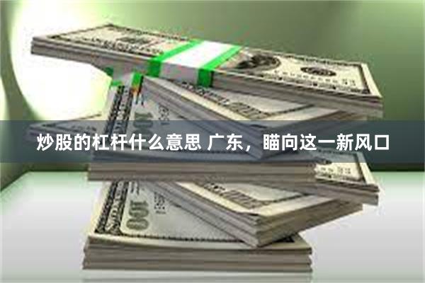 炒股的杠杆什么意思 广东，瞄向这一新风口