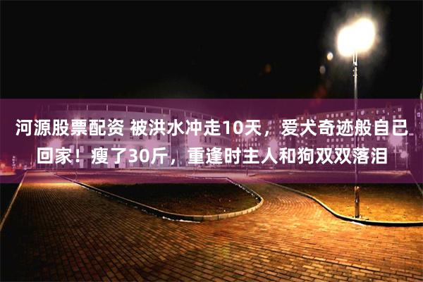 河源股票配资 被洪水冲走10天，爱犬奇迹般自己回家！瘦了30斤，重逢时主人和狗双双落泪