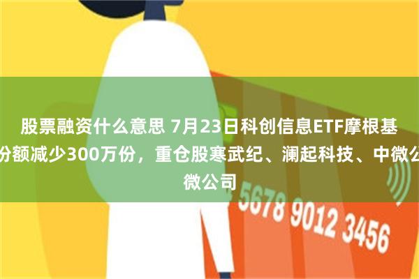 股票融资什么意思 7月23日科创信息ETF摩根基金份额减少300万份，重仓股寒武纪、澜起科技、中微公司