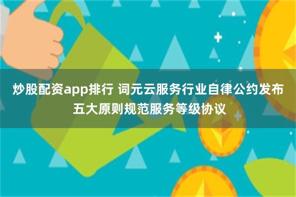 炒股配资app排行 词元云服务行业自律公约发布 五大原则规范服务等级协议