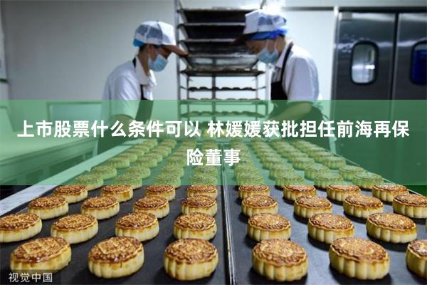 上市股票什么条件可以 林媛媛获批担任前海再保险董事