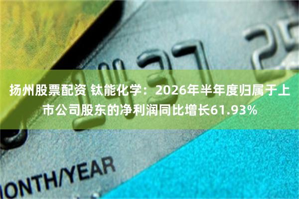 扬州股票配资 钛能化学：2026年半年度归属于上市公司股东的净利润同比增长61.93%