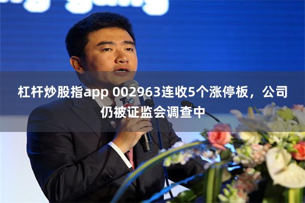 杠杆炒股指app 002963连收5个涨停板，公司仍被证监会调查中