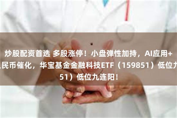 炒股配资首选 多股涨停！小盘弹性加持，AI应用+数字人民币催化，华宝基金金融科技ETF（159851）低位九连阳！