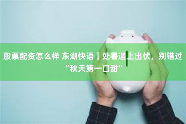 股票配资怎么样 东湖快语｜处暑遇上出伏，别错过“秋天第一口甜”