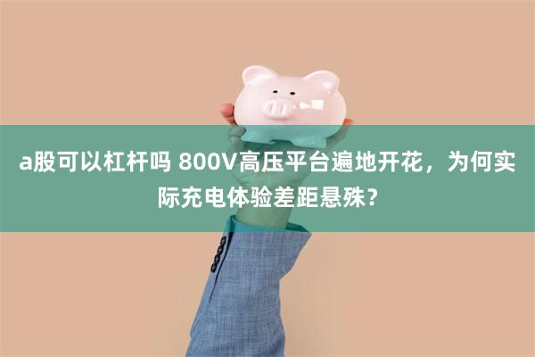 a股可以杠杆吗 800V高压平台遍地开花，为何实际充电体验差距悬殊？