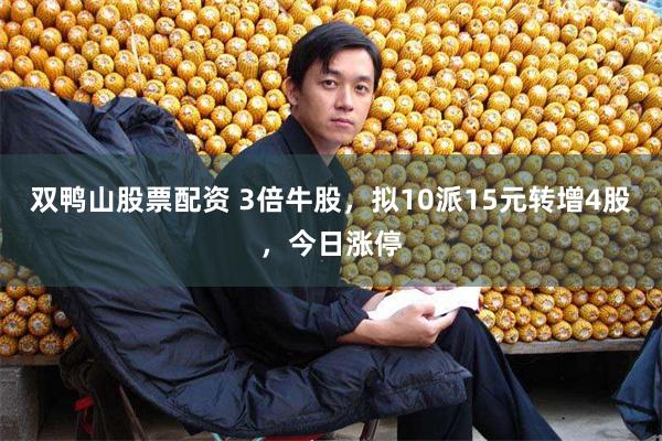 双鸭山股票配资 3倍牛股，拟10派15元转增4股，今日涨停