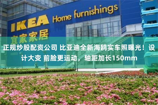 正规炒股配资公司 比亚迪全新海鸥实车照曝光！设计大变 前脸更运动，轴距加长150mm
