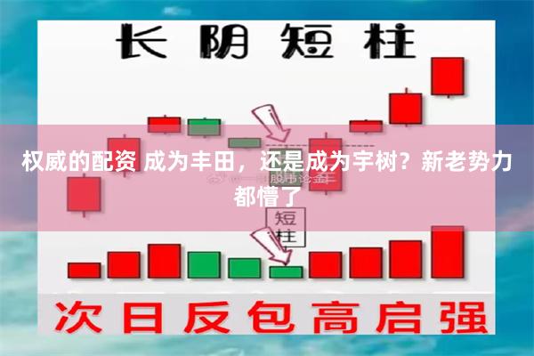 权威的配资 成为丰田，还是成为宇树？新老势力都懵了