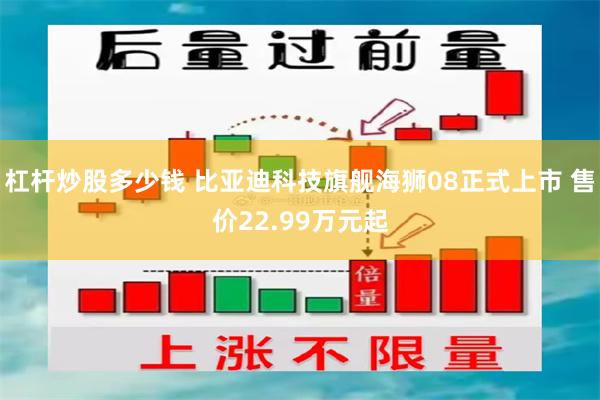 杠杆炒股多少钱 比亚迪科技旗舰海狮08正式上市 售价22.99万元起
