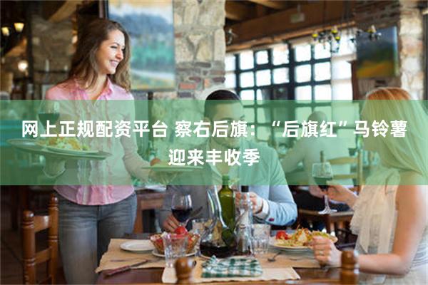 网上正规配资平台 察右后旗：“后旗红”马铃薯迎来丰收季