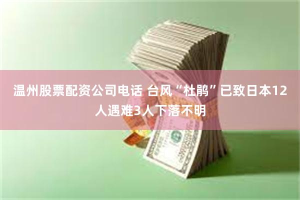 温州股票配资公司电话 台风“杜鹃”已致日本12人遇难3人下落不明