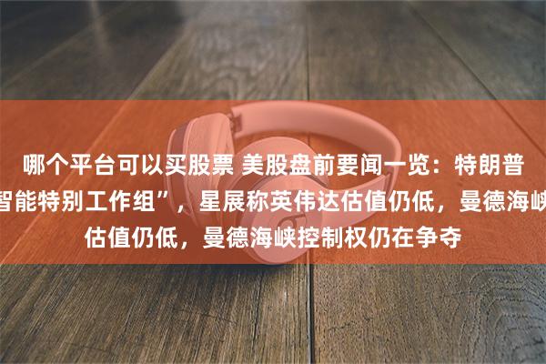 哪个平台可以买股票 美股盘前要闻一览：特朗普宣布成立“超级智能特别工作组”，星展称英伟达估值仍低，曼德海峡控制权仍在争夺
