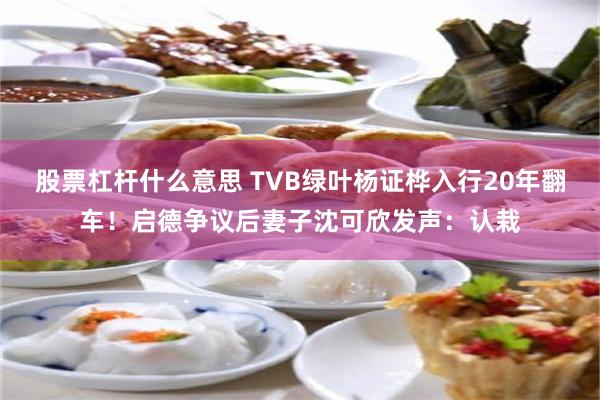 股票杠杆什么意思 TVB绿叶杨证桦入行20年翻车！启德争议后妻子沈可欣发声：认栽