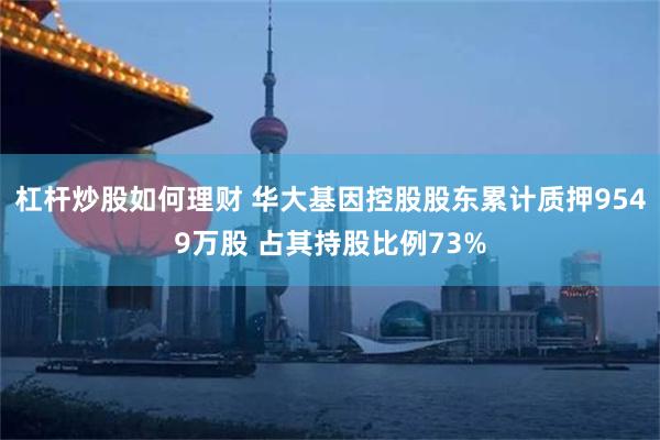 杠杆炒股如何理财 华大基因控股股东累计质押9549万股 占其持股比例73%